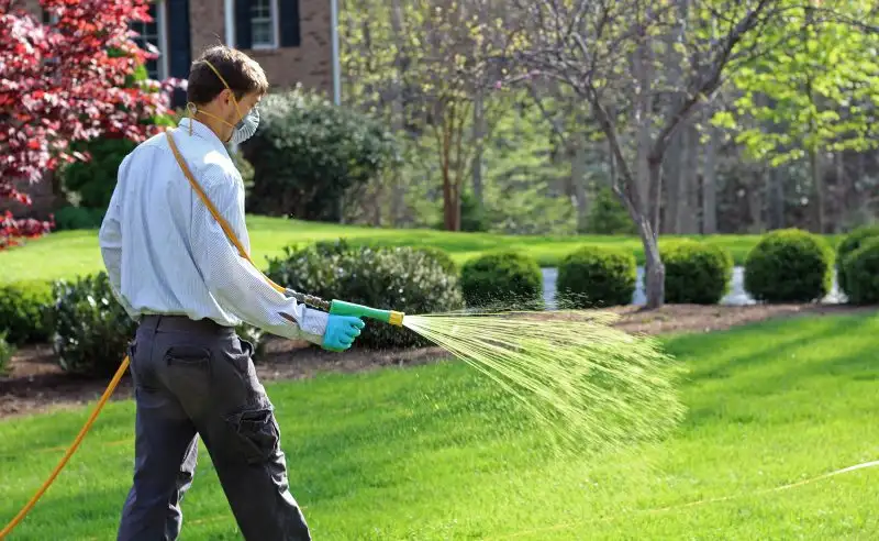 Treating Your Lawn
