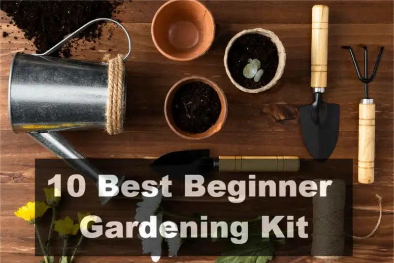 best beginner gardening kit