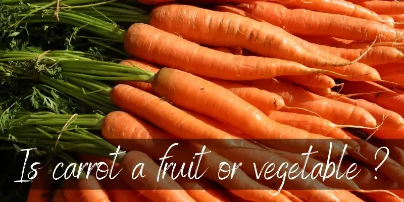 Are carrots fruit or vegetable