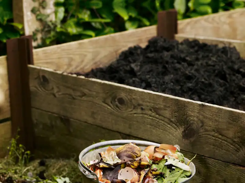 Benefits of Composting