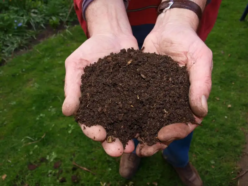 Common Problems with Composting