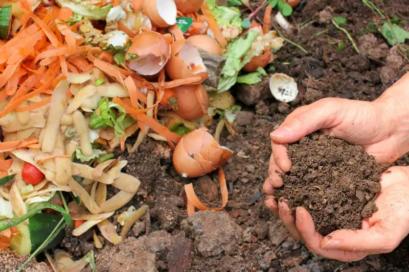 Composting Tips for Beginners