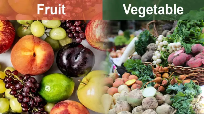 Differences Between Fruits and Vegetables