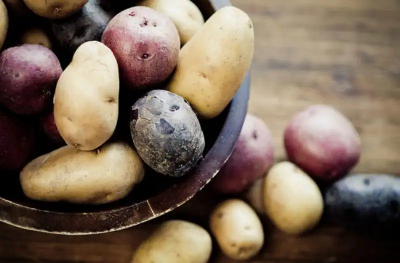 Nutritional Value of Potato