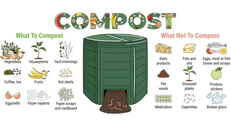 Start Composting for Beginners