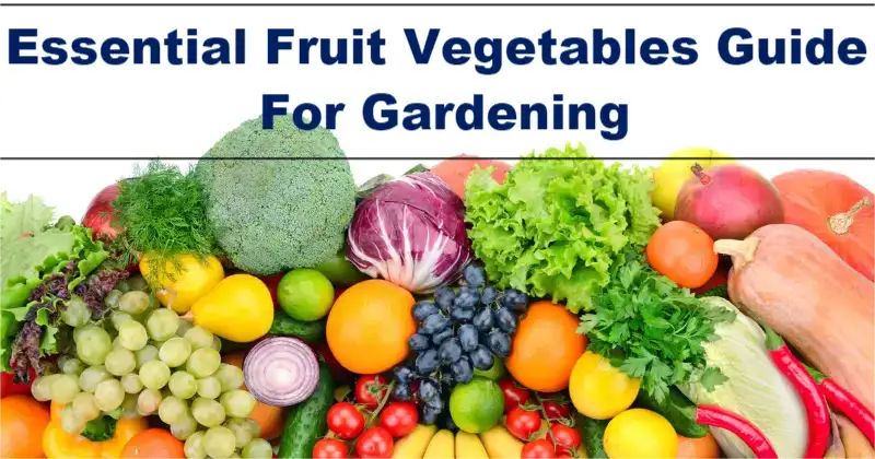 Essential Fruit Vegetables Guide For Gardening