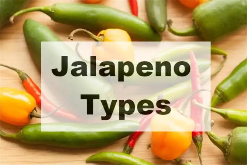 Jalapeno Types