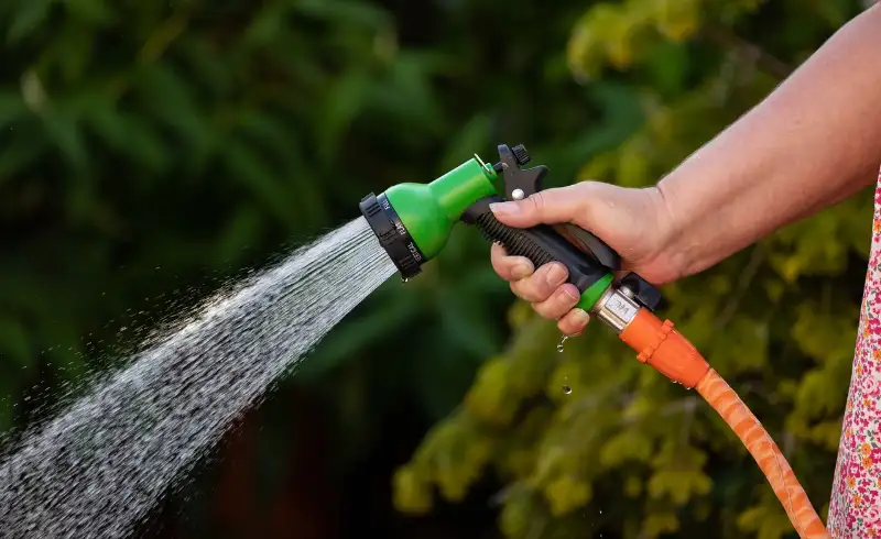 Spray hose
