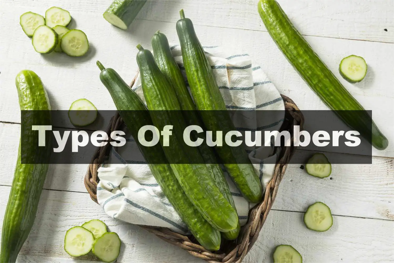 Types Of Cucumbers