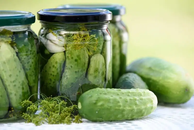 What’s the Difference Between Pickles and Cucumbers
