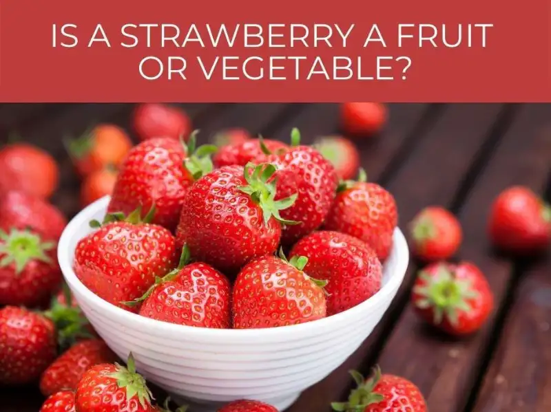 Is a strawberry a fruit or vegetable