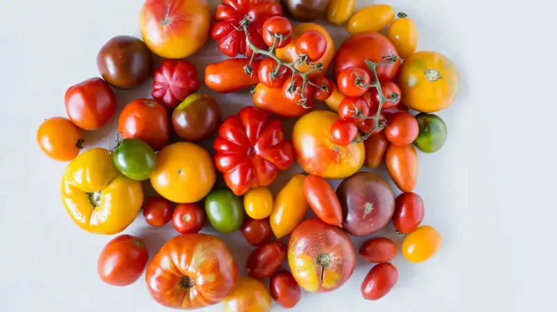 What Types of Tomatoes Make the Most Crop